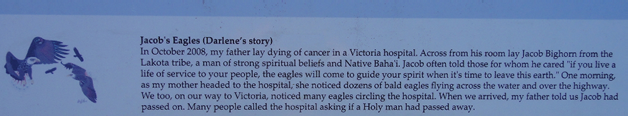 The story of Jacob's Eagles